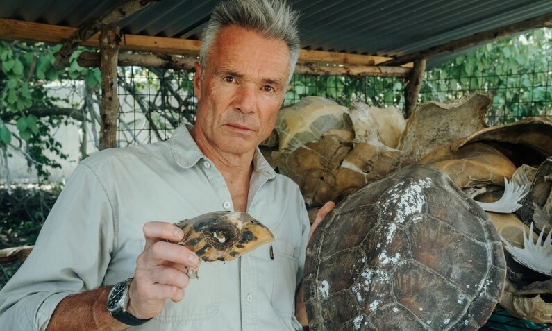 Hannes Jaenicke  Meeresschildkröten Doku Titelbild | © ZDF