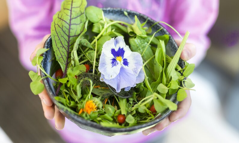 Bunte Salatschüssel mit Stiefmütterchen, jungem Grün und Kirschtomaten in einer Hand. | © Getty Images/ Westend61