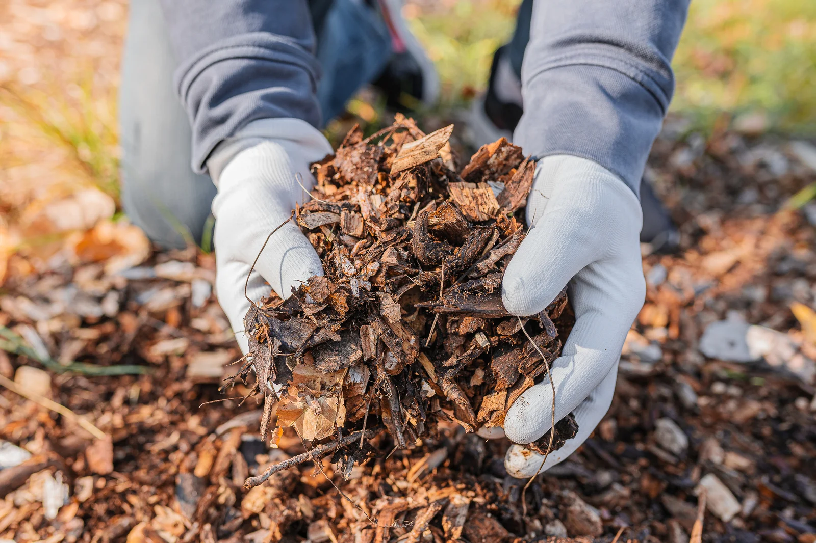 Warum Du Deinen Garten Unbedingt Mulchen Solltest