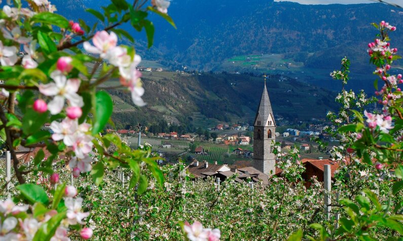 Südtirol Titelbild | ©  IMAGO / imagebroker