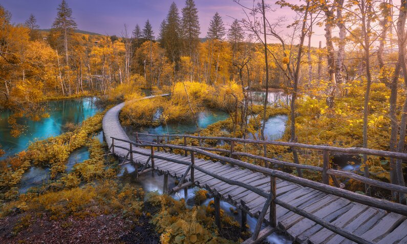 Plitvicer Seen im Oktober, ein Steg führt über blaues Wasser, am Ufer Bäume in leuchtend gelben Herbstfarben. | © Getty Images/den-belitsky