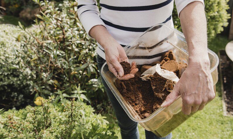 Gärtnerin verteilt Kaffeesatz im Beet, vielfältige Pflanzen im Sonnenlicht. | © Getty Images/ DGLimages