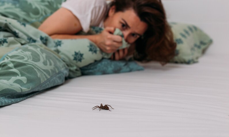 Frau die sich den Mund mit ihrer Bettdecke zuhält, weil sie eine Spinne auf ihrem Bett sieht | © Adobe Stock/ Robert Petrovic
