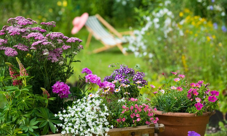 Bunte Blütenpracht in Töpfen vor einer unscharfen Liege mit rosa Hut im sonnigen Garten. | © Adobe Stock/ DoraZett