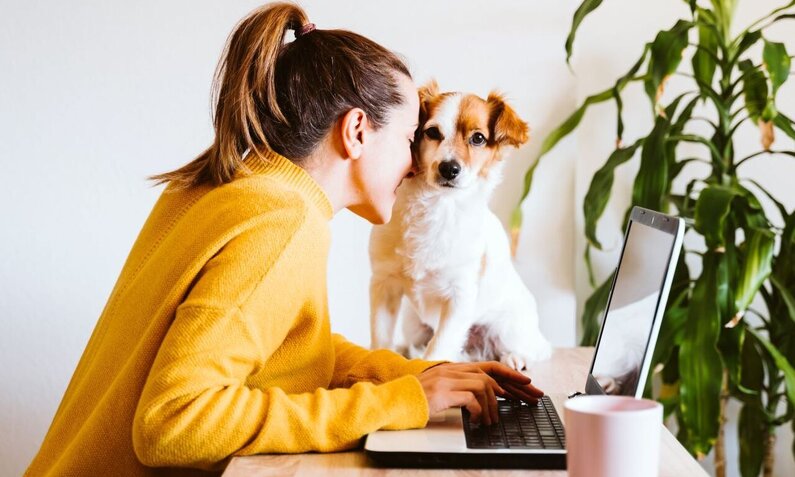 Eine junge Frau in gelbem Pullover arbeitet am Laptop, während ein kleiner Hund auf dem Tisch sitzt. | © Adobe Stock / Eva