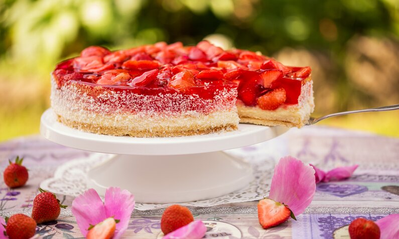 Eisgekühlter Joghurtkuchen mit Erdbeeren in sommerlicher Umgebung auf Tortenboden. | © Adobe Stock / cstirit