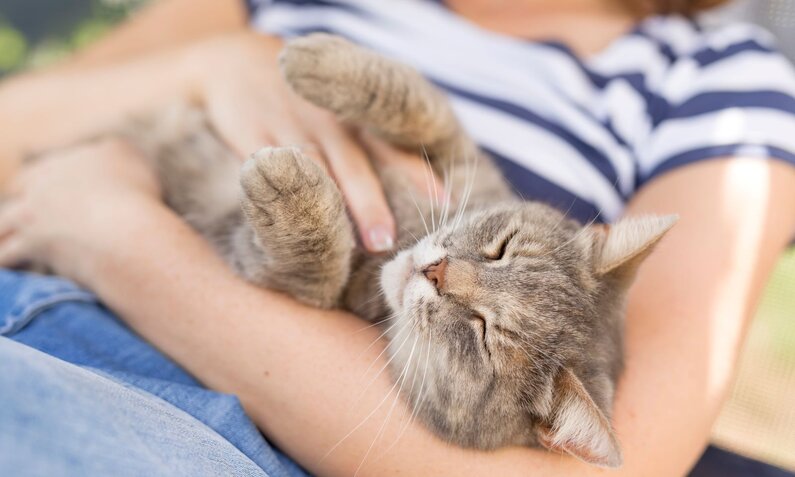 Graue Katze liegt mit geschlossenen Augen entspannt in den Armen einer Frau in gestreiftem Shirt und blauen Jeans. | © Adobe Stock / Impact Photography