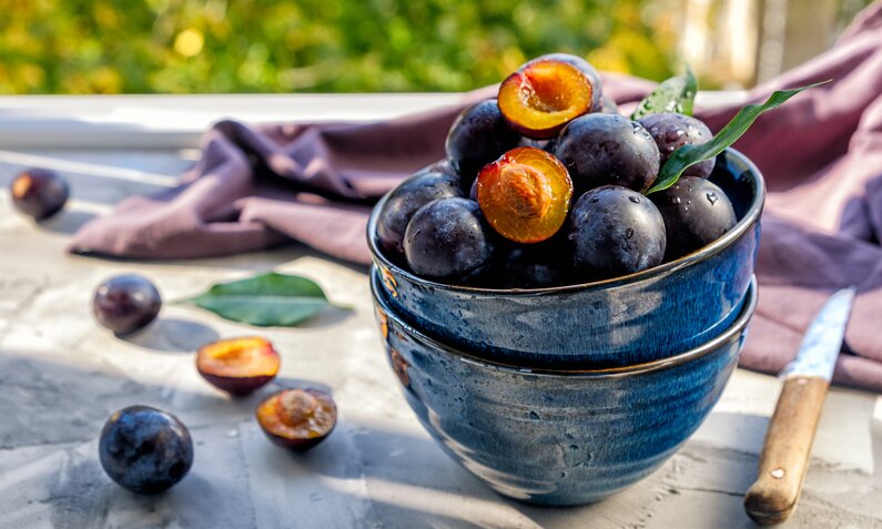 Frische Pflaumen in einer blauen Schale, teils halbiert, auf einem sonnenbeschienenen Tisch mit violettem Tuch im Hintergrund. | © Adobe Stock/ the_mist